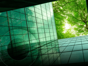 Image shows a green tree reflecting on a mirrored office building to highlight the importance of IT sustainability.